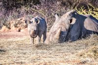 Botswana 2019 014