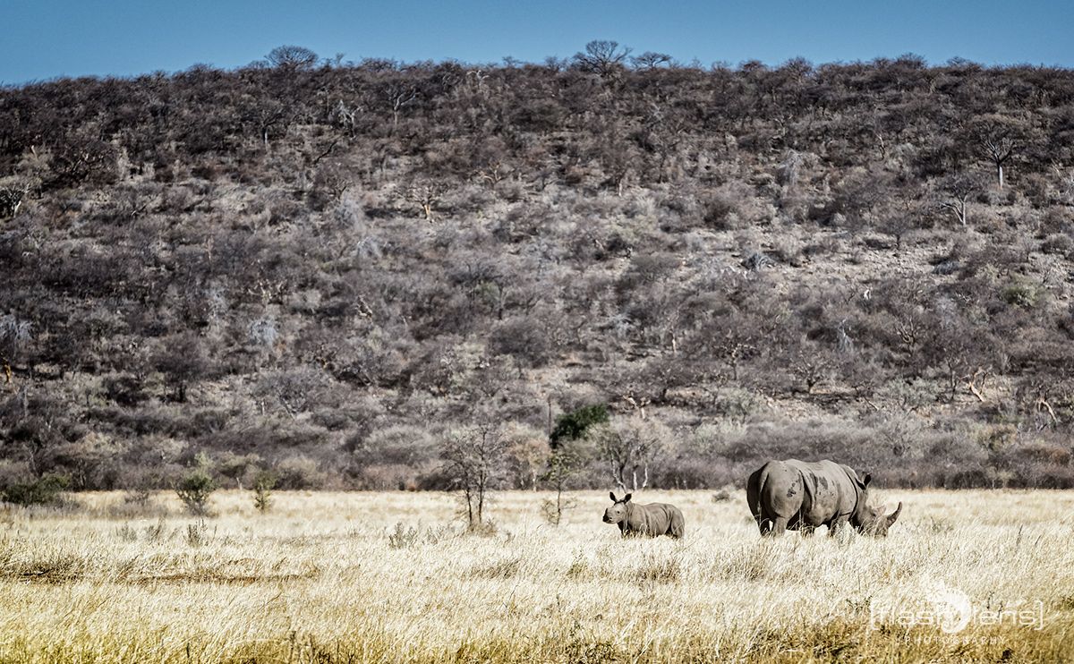 Botswana 2019 016