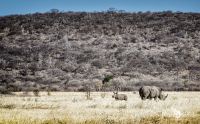 Botswana 2019 016