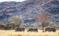 Botswana 2019 017