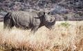 Botswana 2019 019
