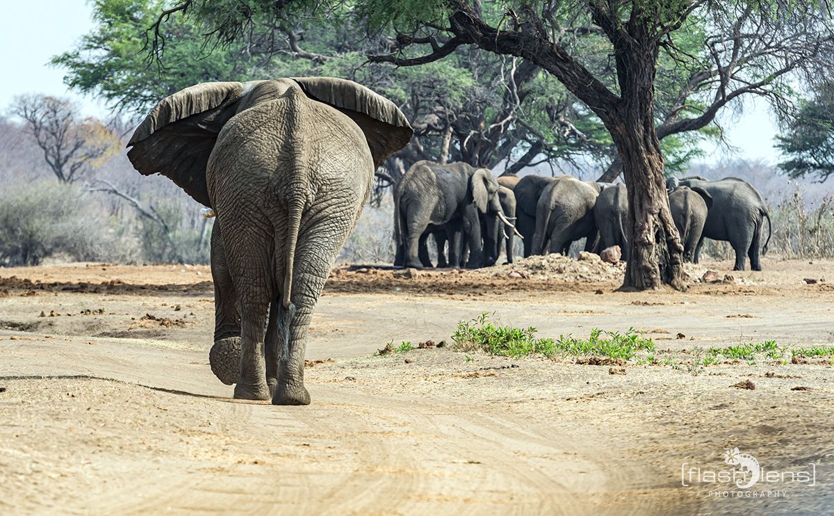 Botswana 2019 020