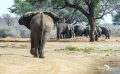 Botswana 2019 020