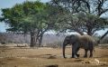 Botswana 2019 021