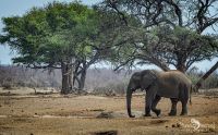 Botswana 2019 021