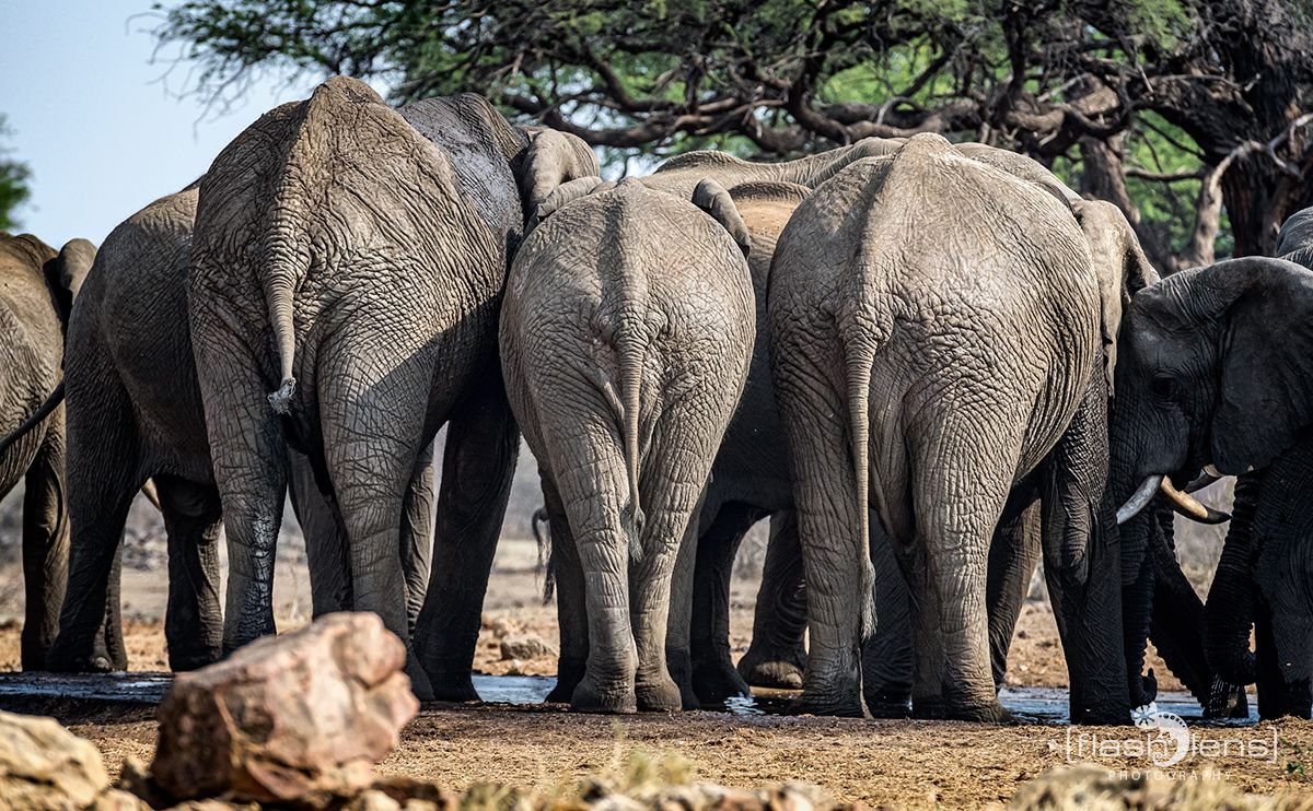 Botswana 2019 022