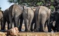 Botswana 2019 022