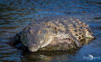 Botswana 2019 026