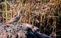 Botswana 2019 027