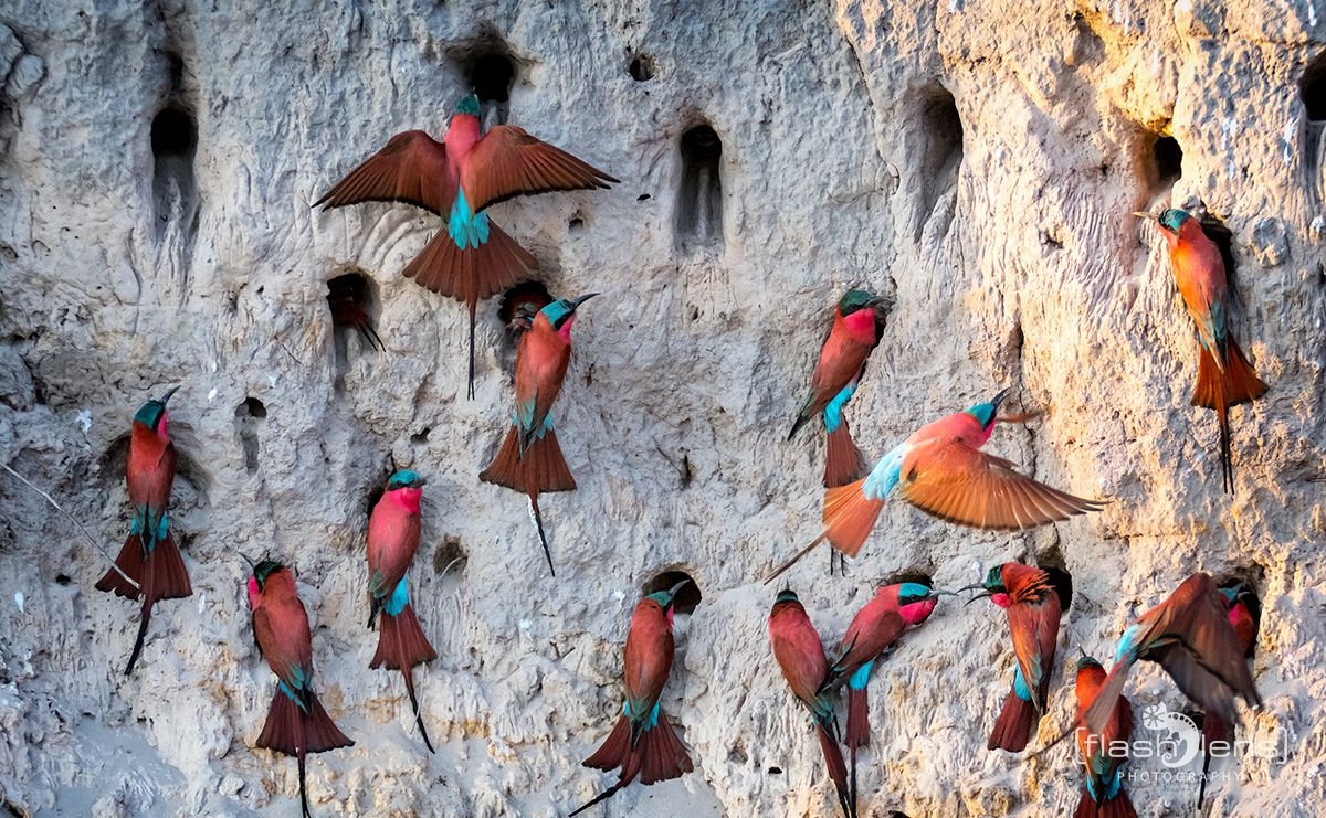 Botswana 2019 028