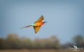 Botswana 2019 030
