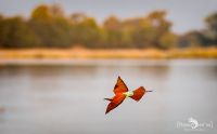 Botswana 2019 031