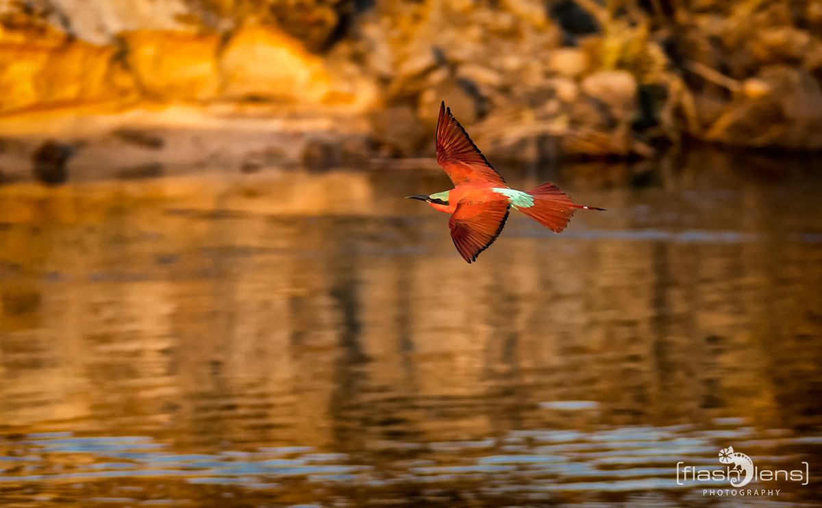 Botswana 2019 033