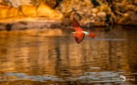 Botswana 2019 033