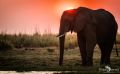 Botswana 2019 036