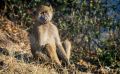 Botswana 2019 041