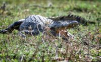 Botswana 2019 043