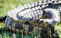 Botswana 2019 044