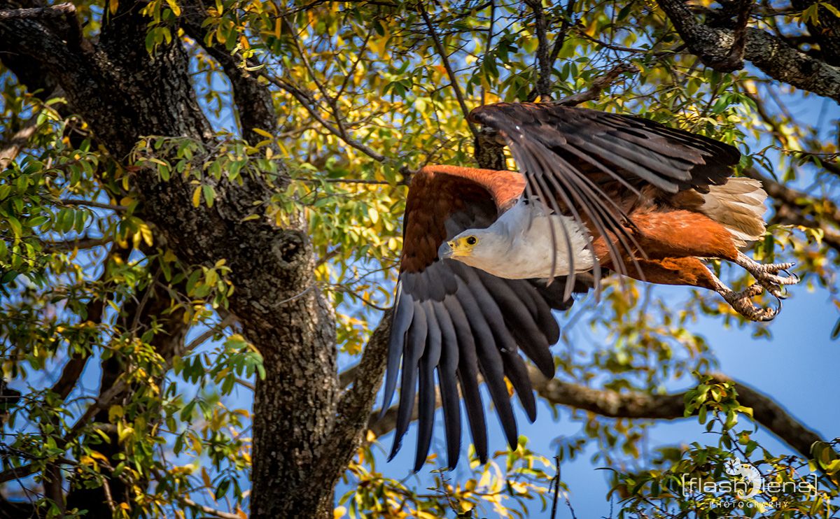 Botswana 2019 046
