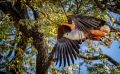 Botswana 2019 046