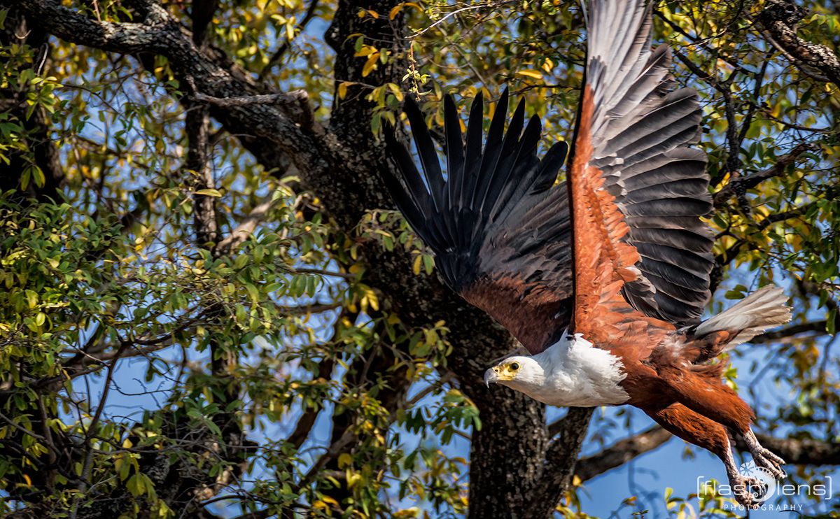 Botswana 2019 047