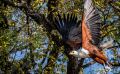 Botswana 2019 047