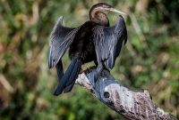 Botswana 2019 048