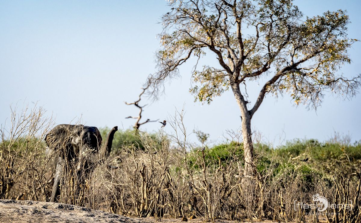 Botswana 2019 058