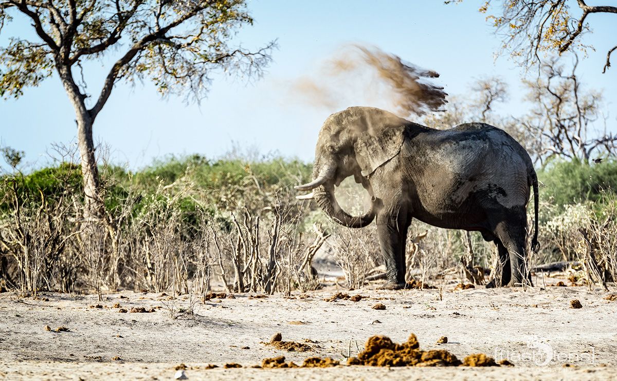 Botswana 2019 059