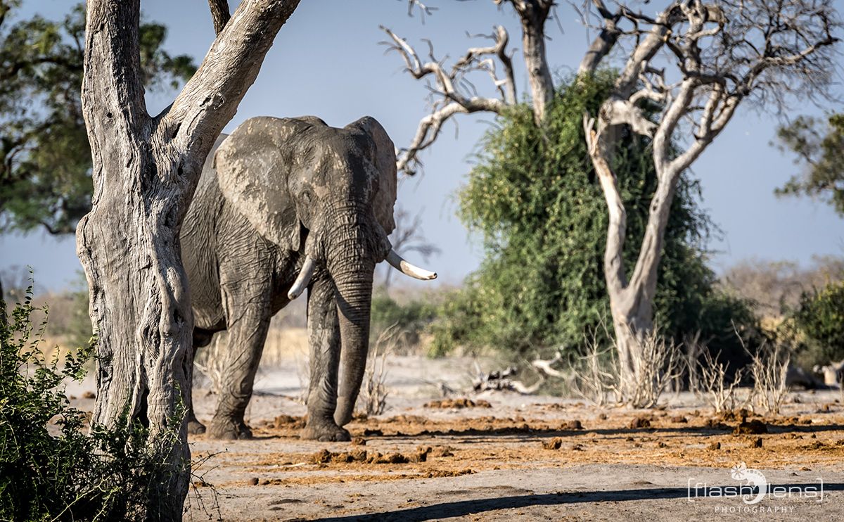 Botswana 2019 060