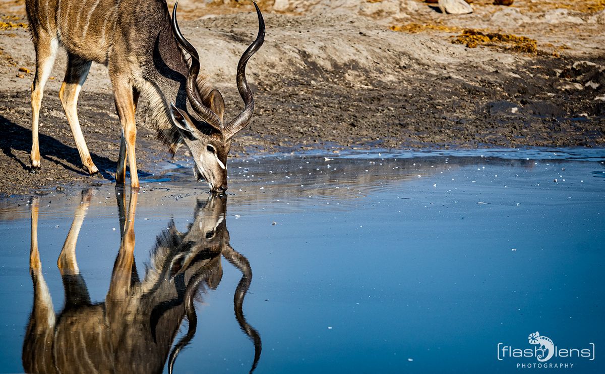 Botswana 2019 064