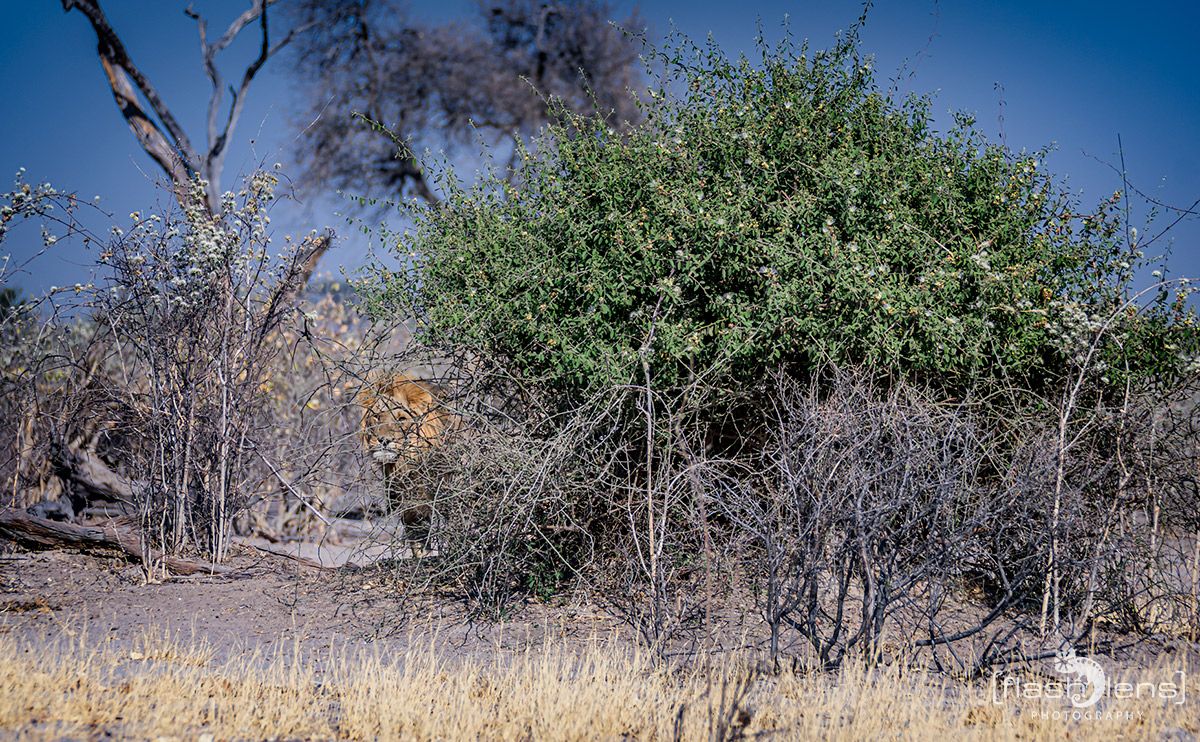Botswana 2019 070