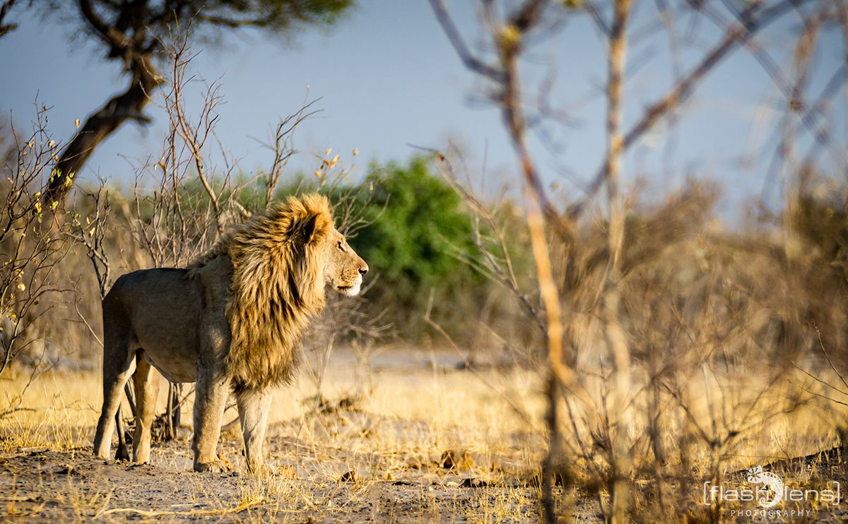 Botswana 2019 073