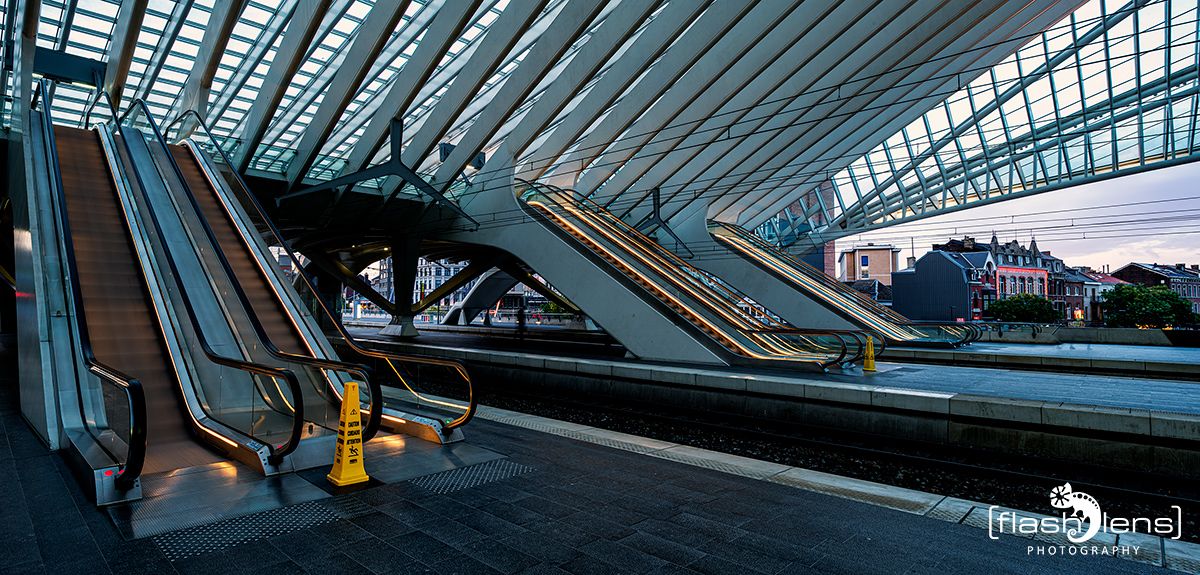 Gare Guillemins 012