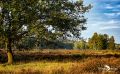 Wahner Heide 003