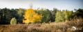 Wahner Heide 007