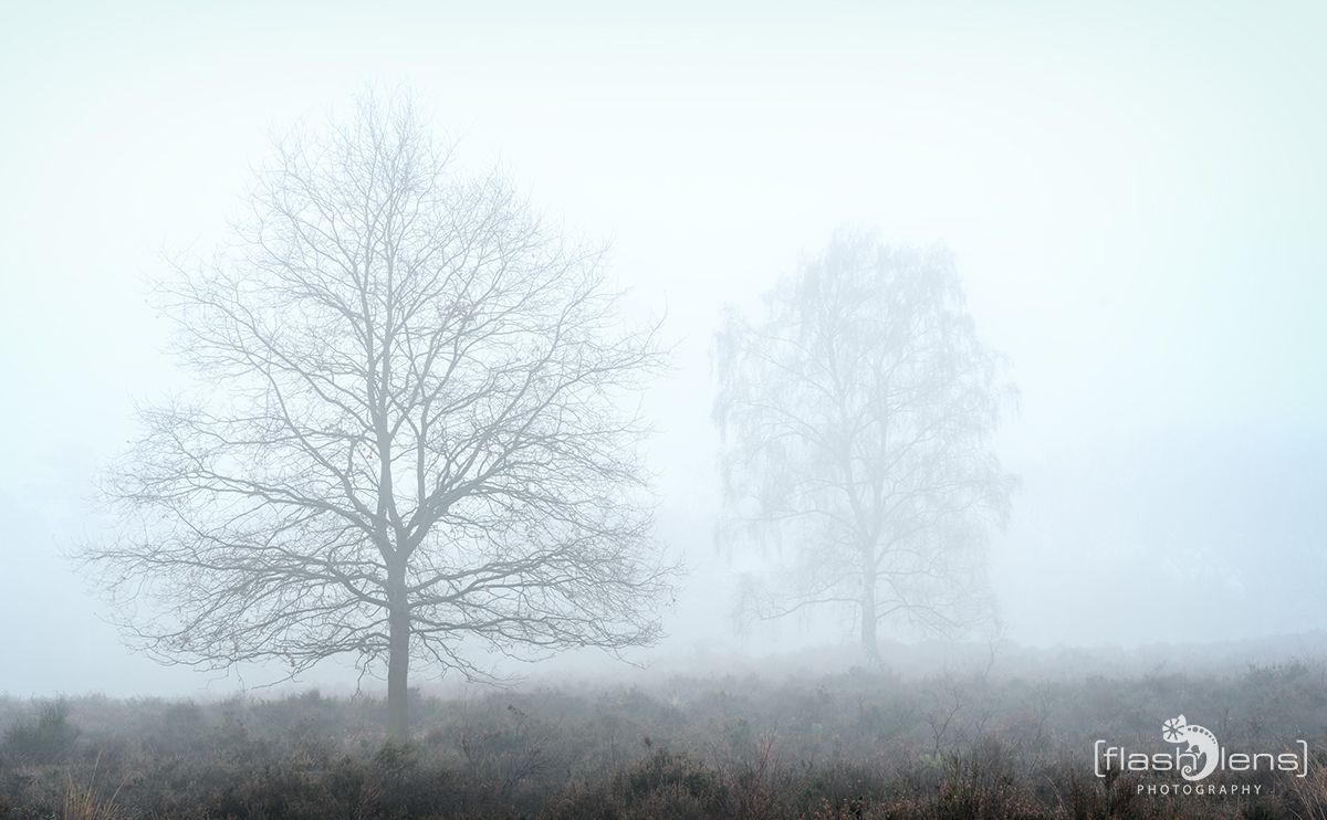 Wahner Heide 001