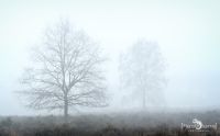 Wahner Heide 001