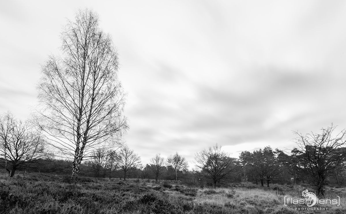 Wahner Heide 002
