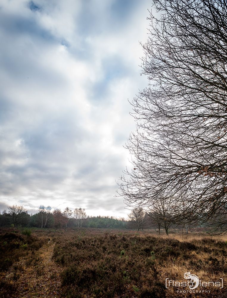 Wahner Heide 006