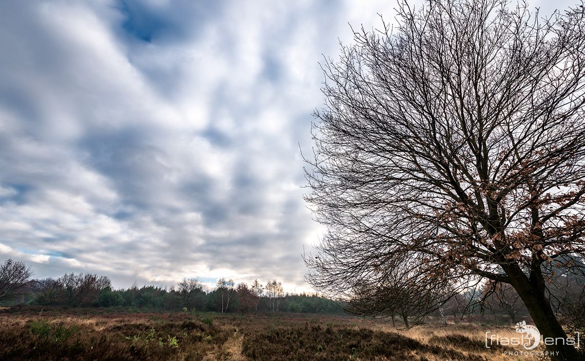 Wahner Heide 007