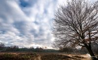 Wahner Heide 007