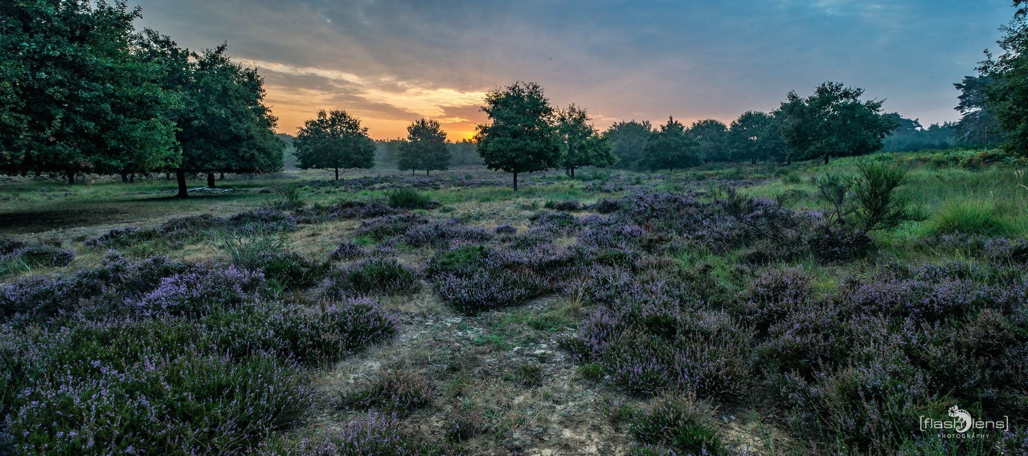 Wahner Heide 009