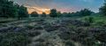 Wahner Heide 009