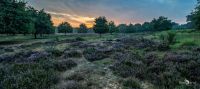 Wahner Heide 009
