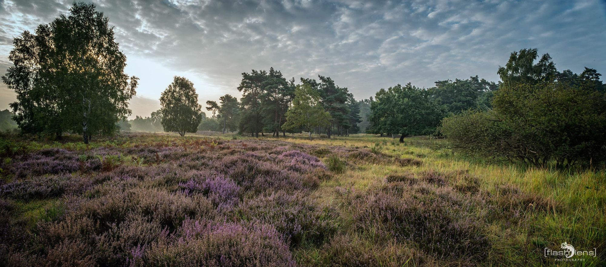 Wahner Heide 010