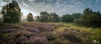 Wahner Heide 010