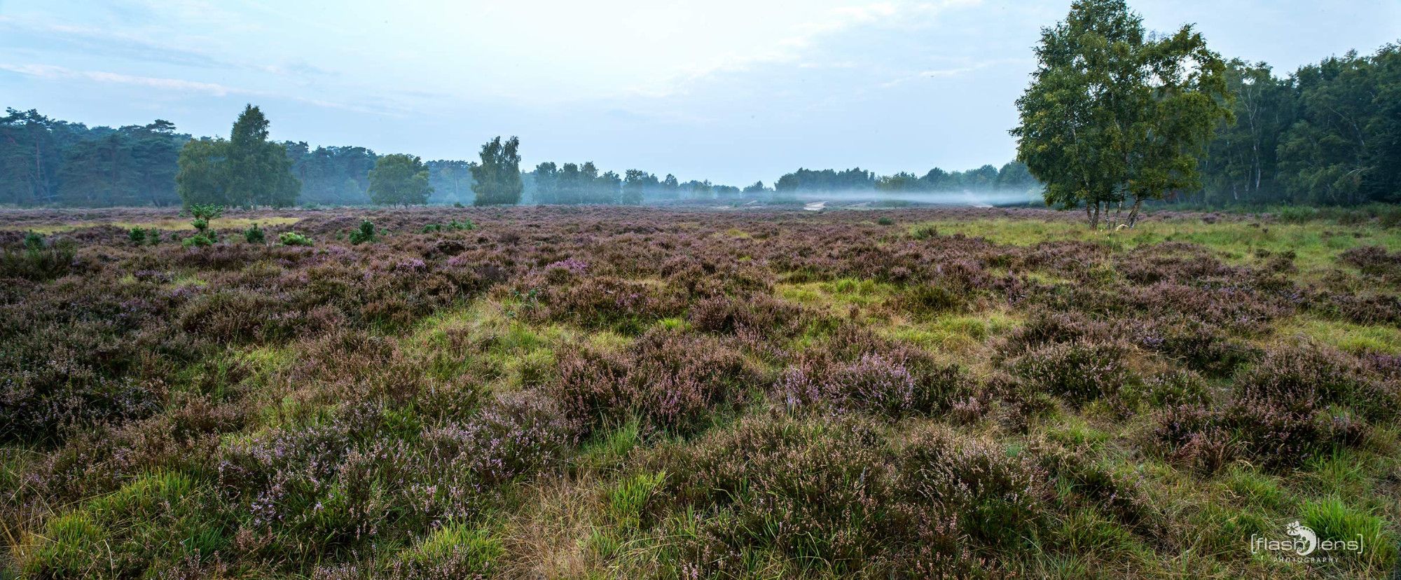 Wahner Heide 011
