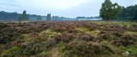 Wahner Heide 011