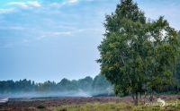 Wahner Heide 012